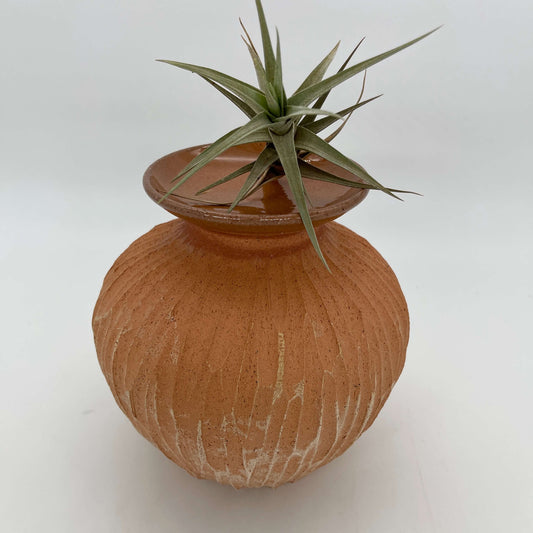 Lola Candle Holder & Trinket Dish - Drift Texture - Mottled Terracotta