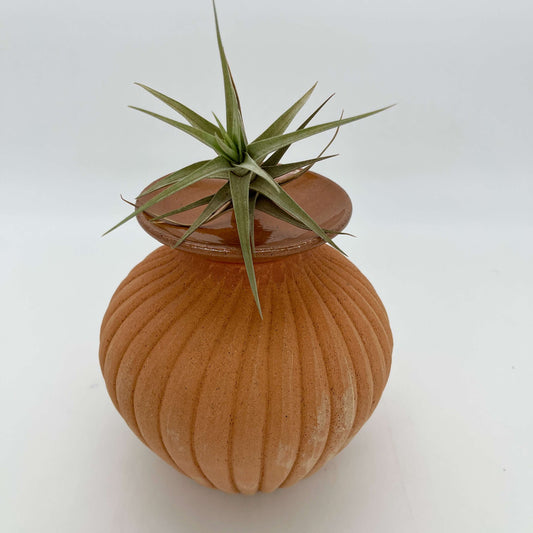 Lola Candle Holder & Trinket Dish - Fluted Texture - Mottled Terracotta