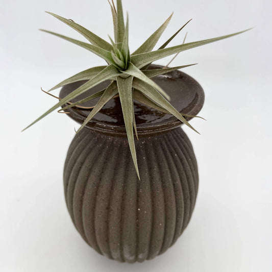 Lulu Candle Holder & Trinket Dish - Fluted Texture - Charcoal