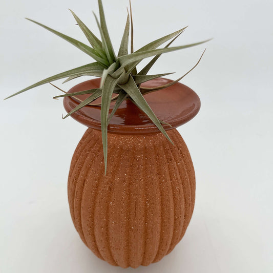 Lulu Candle Holder & Trinket Dish - Fluted Texture - Terracotta