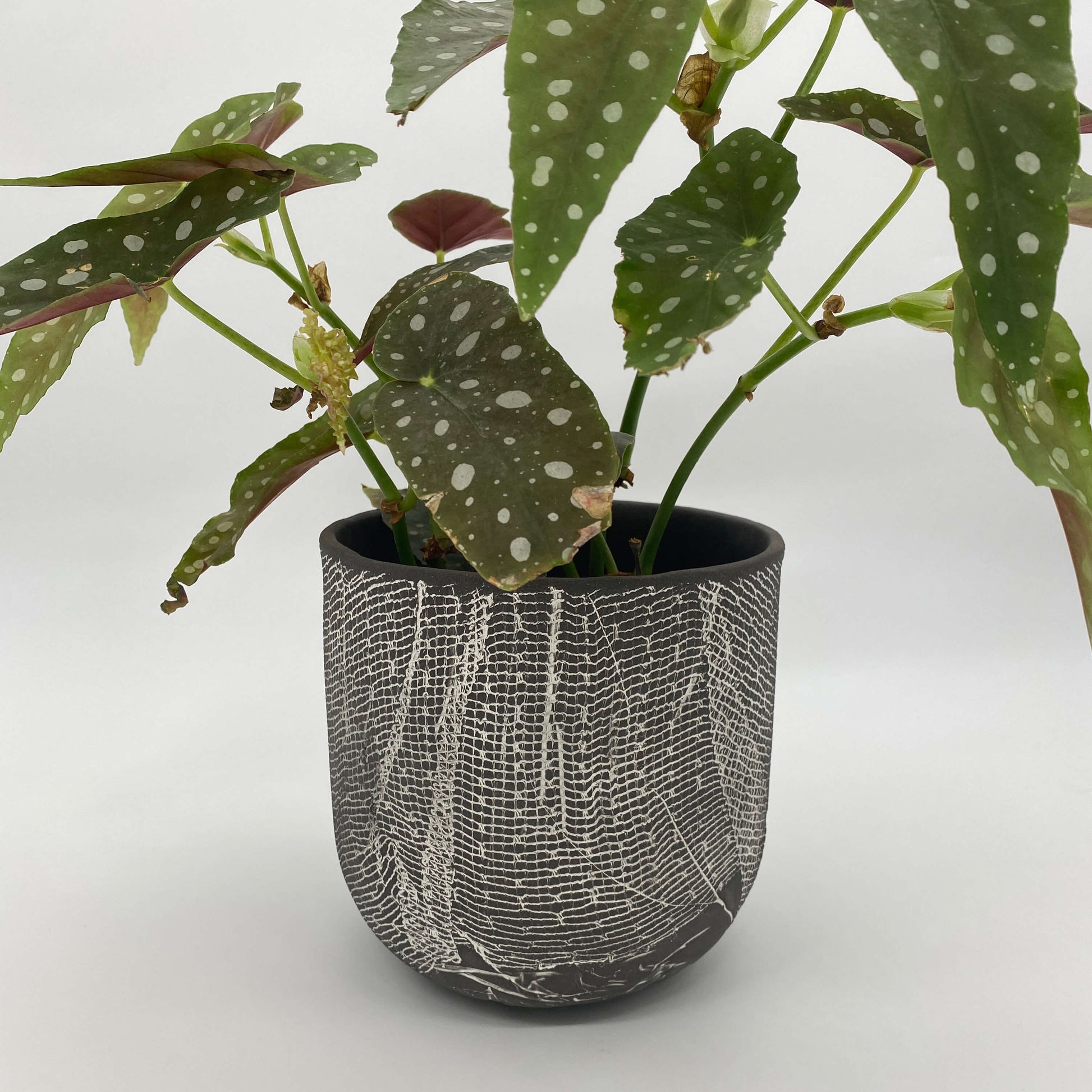 Black ceramic planter with white texture
