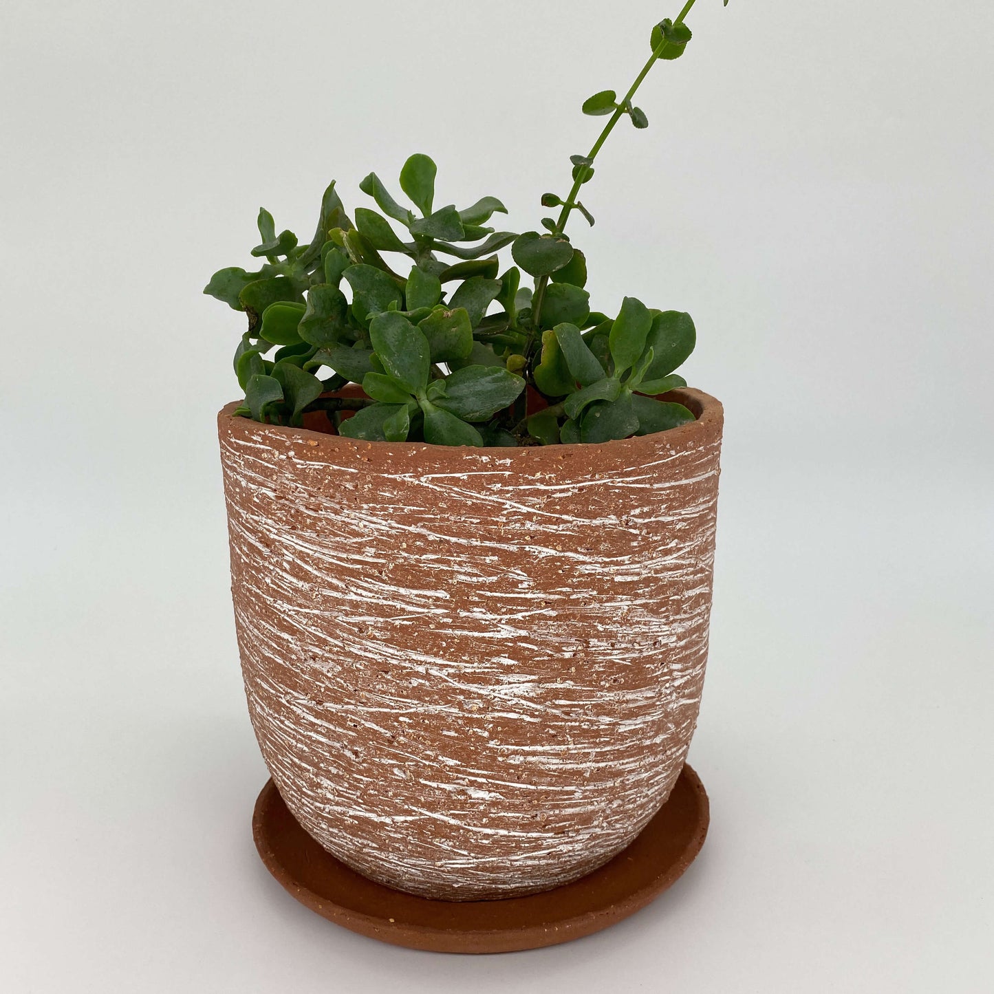 Terracotta ceramic planter with white texture