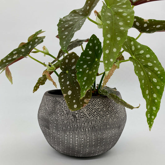 Bespoke ceramic planter with black and white texture