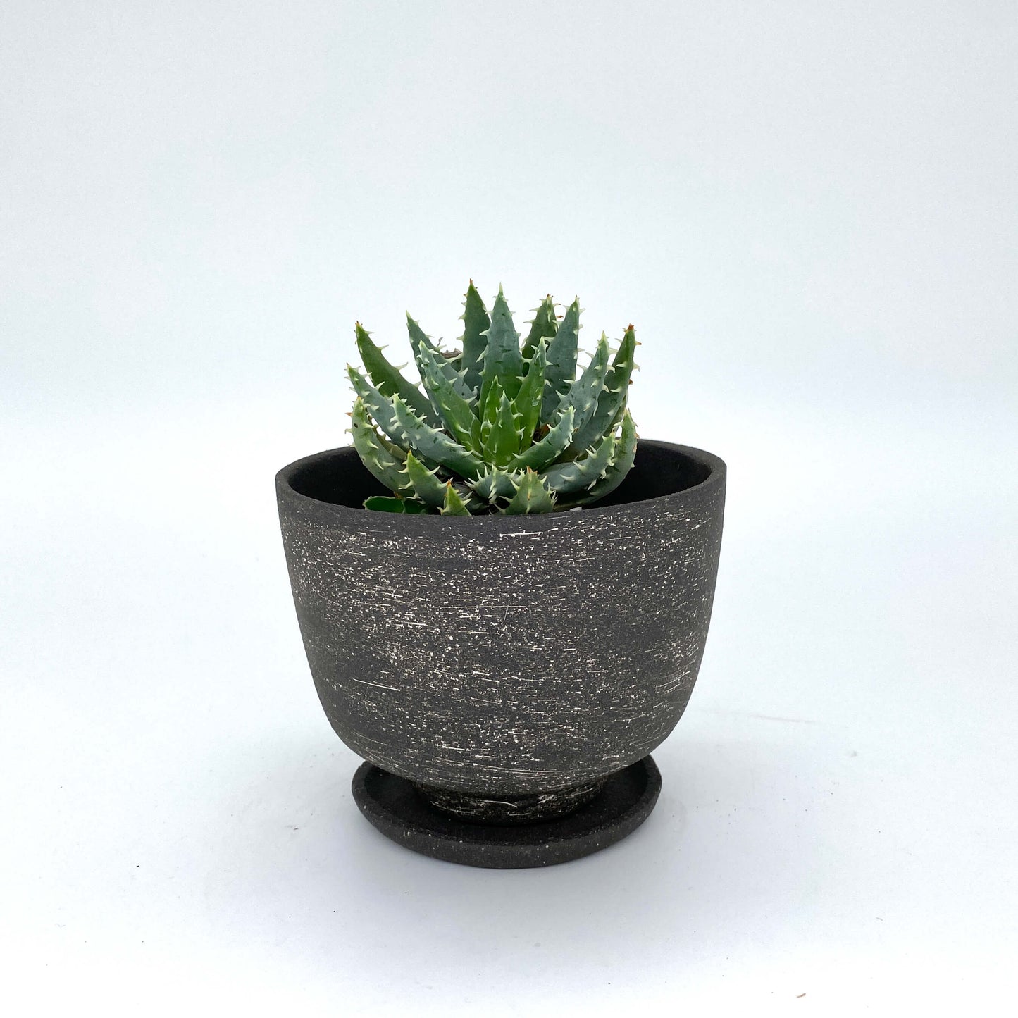 The Emily Planter