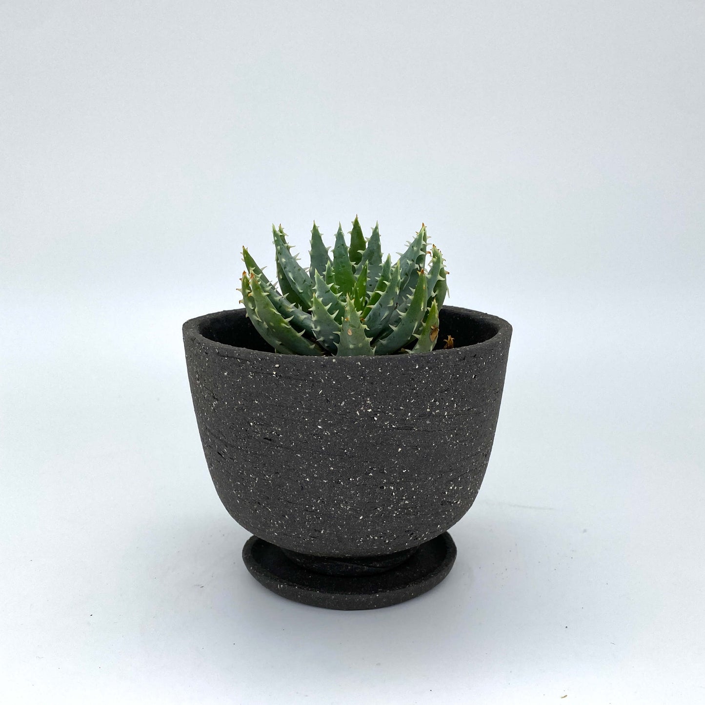 The Emily Planter
