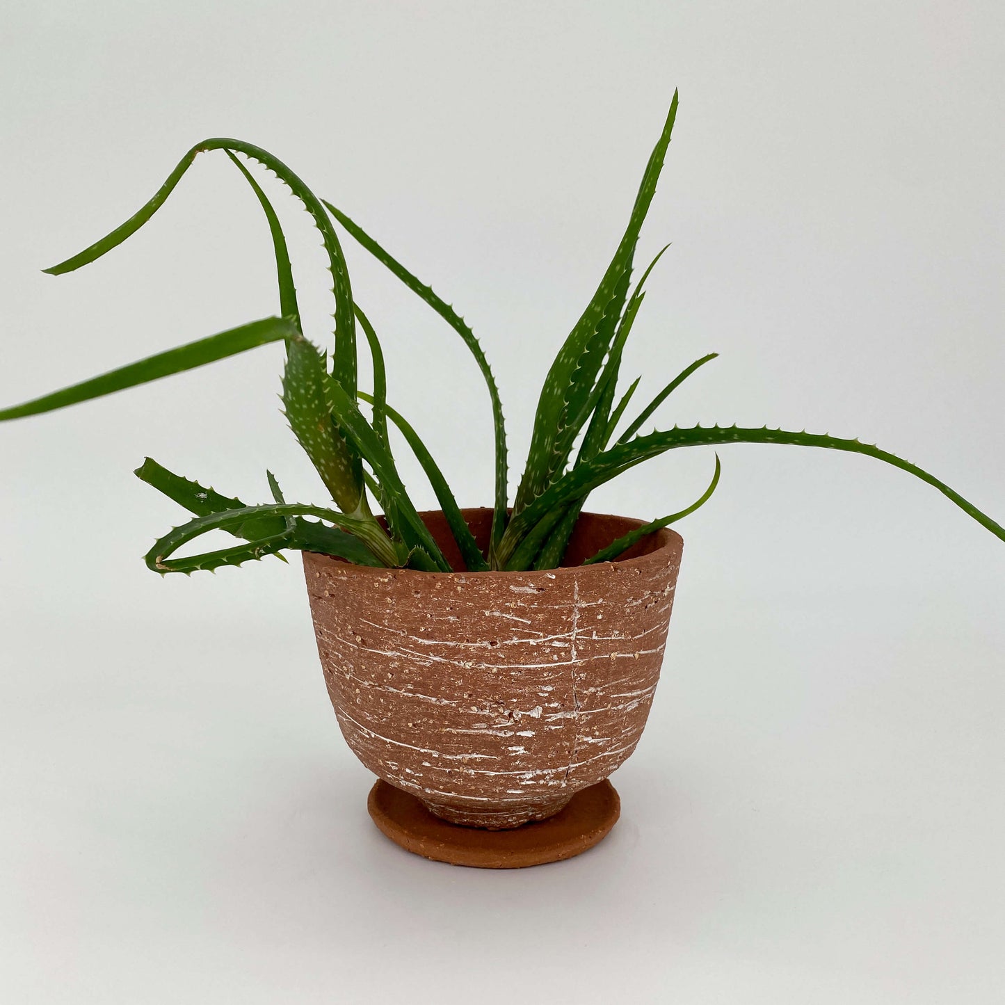 Terracotta ceramic planter with white texture
