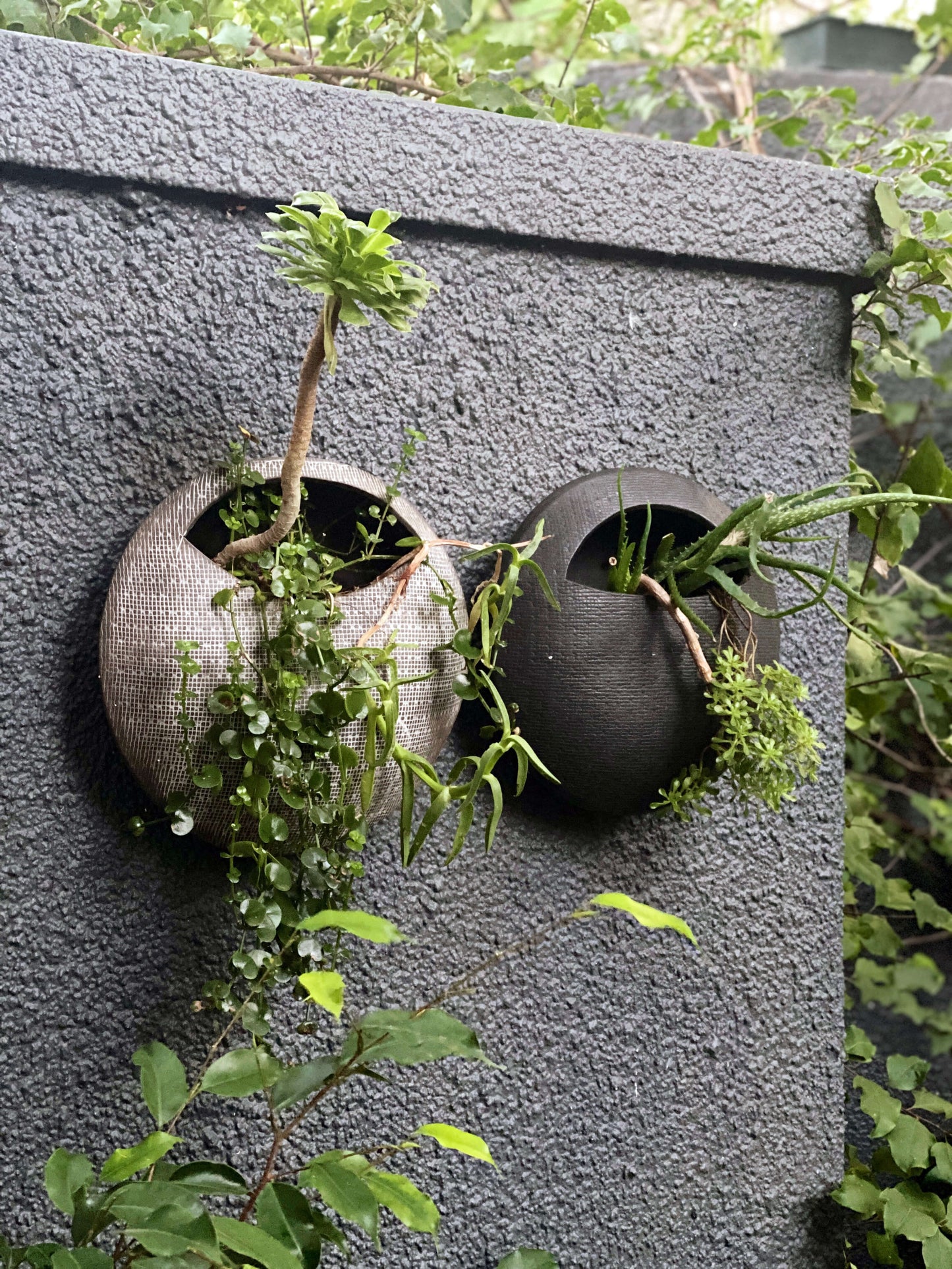 Black ceramic wall hanging planters