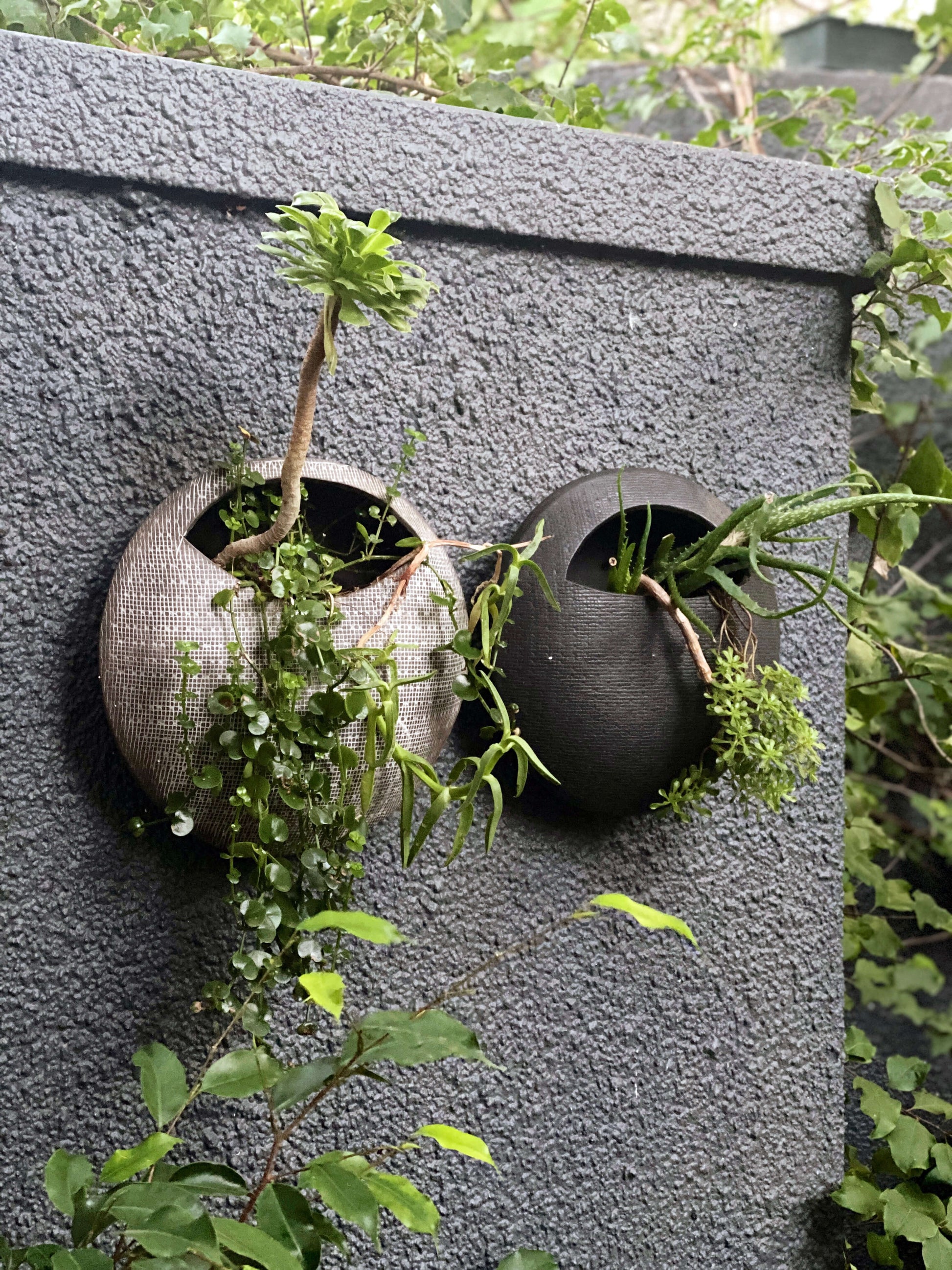 Black ceramic wall hanging planters
