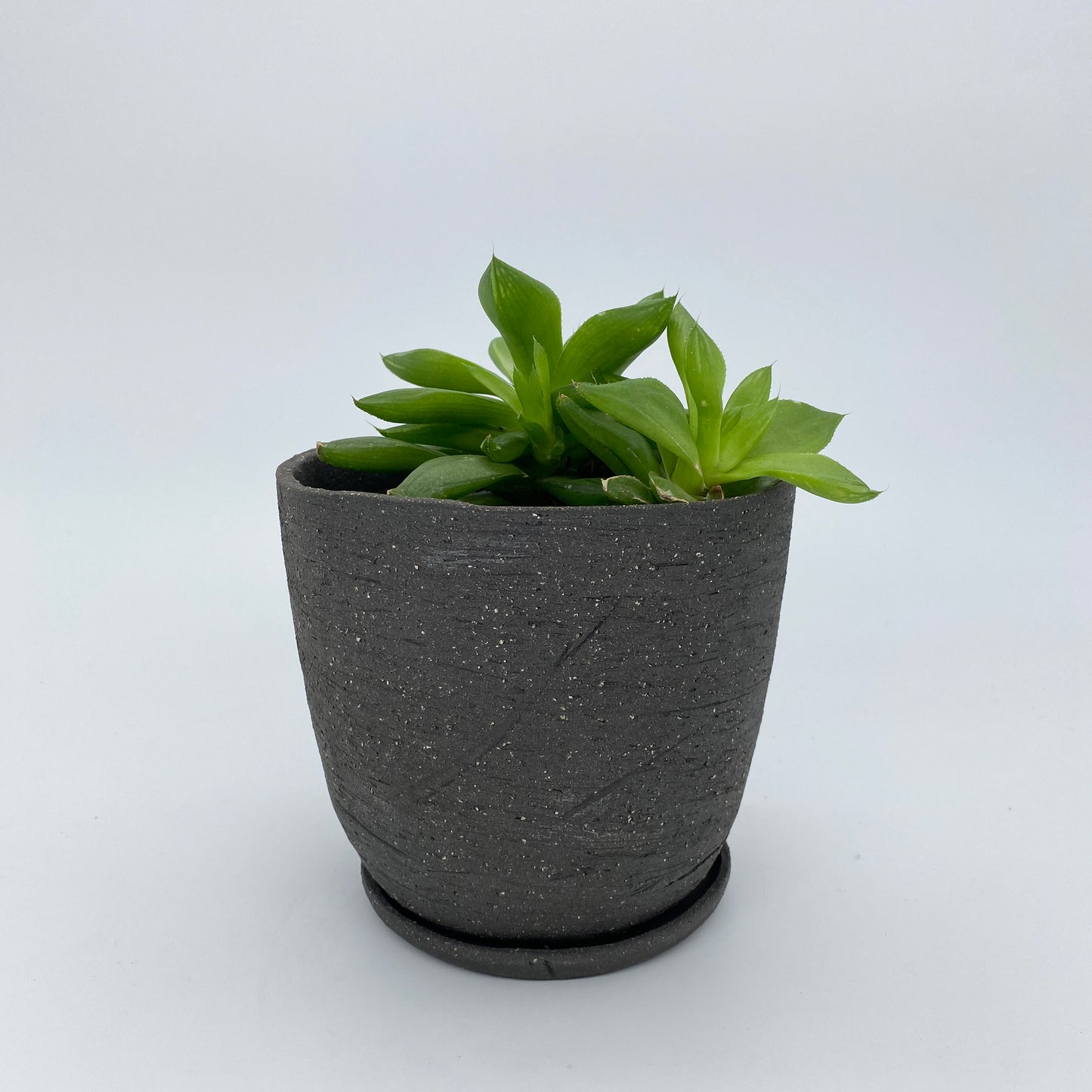 Black ceramic planter with stone texture
