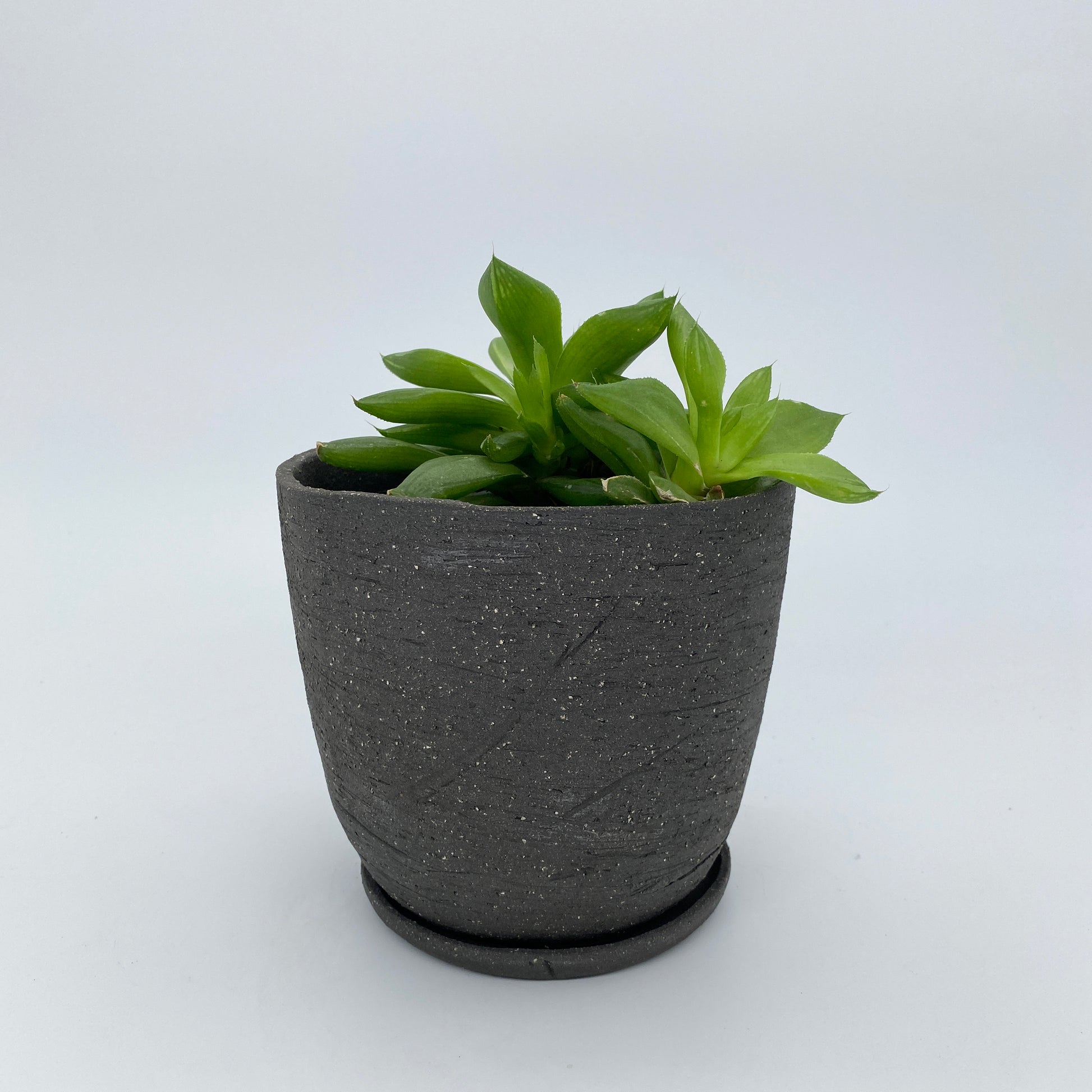 Black ceramic planter with stone texture