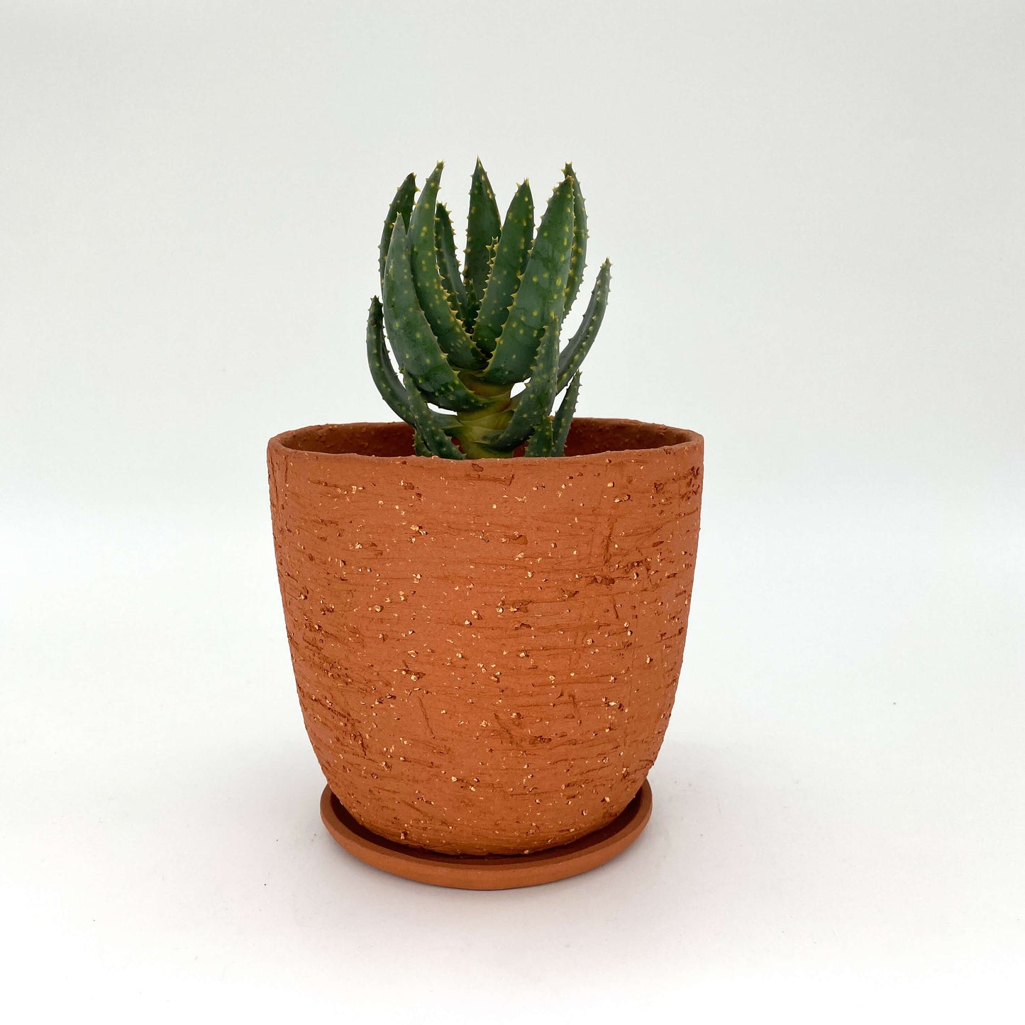 The Indie Planter