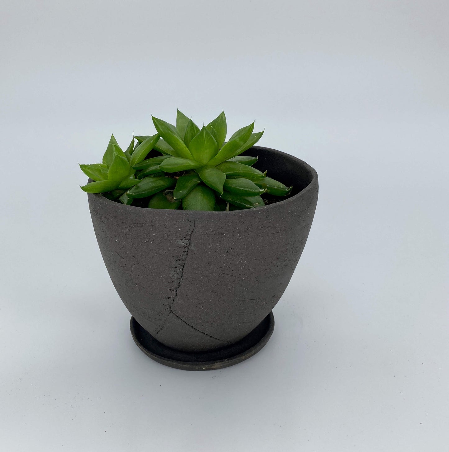Black ceramic planter