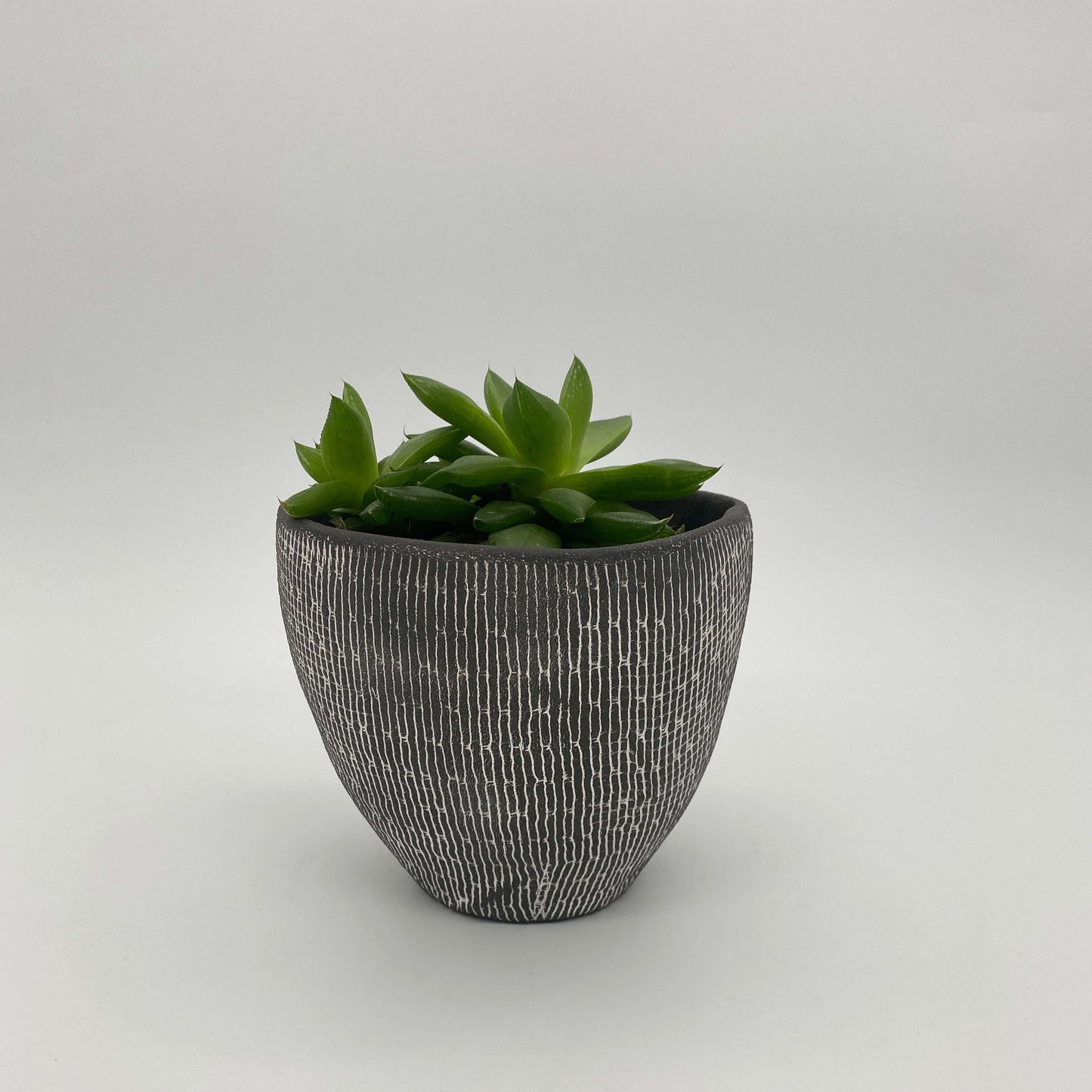 Black ceramic planter with white texture