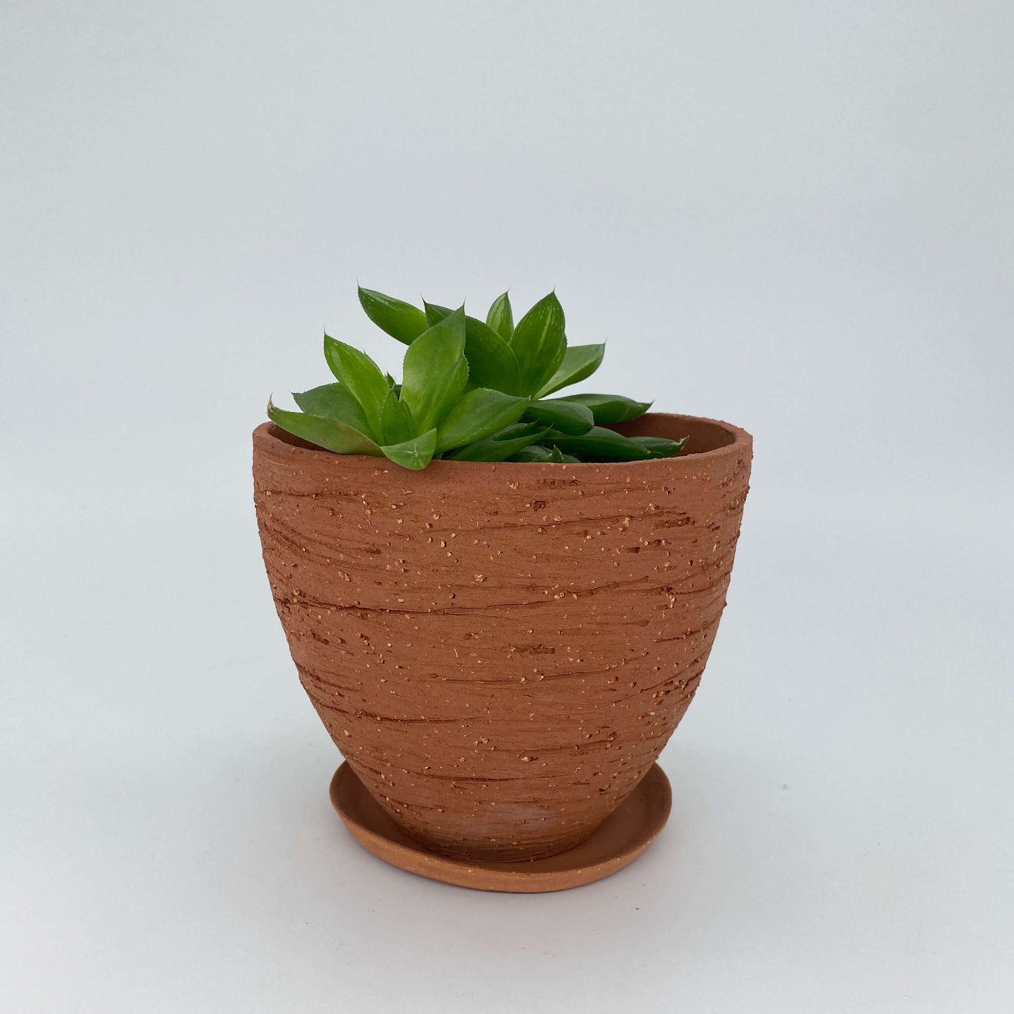 Terracotta ceramic planter