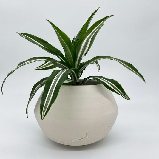 Ceramic planter with matte stone finish