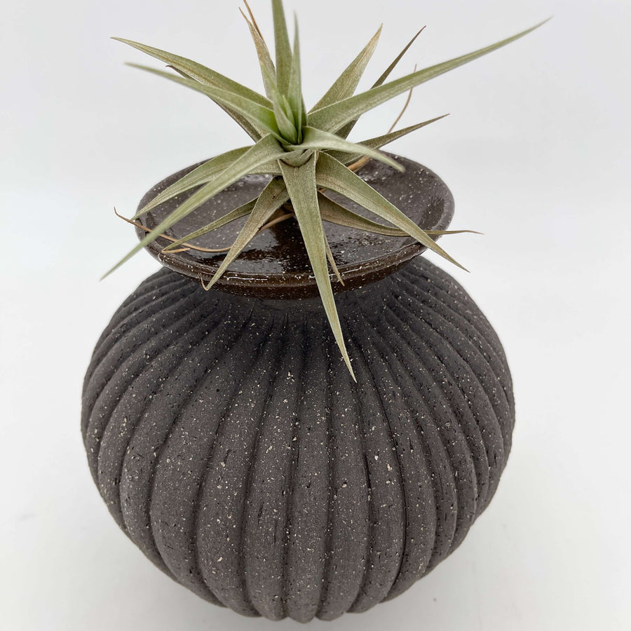 Lola Candle Holder & Trinket Dish - Fluted Texture - Charcoal