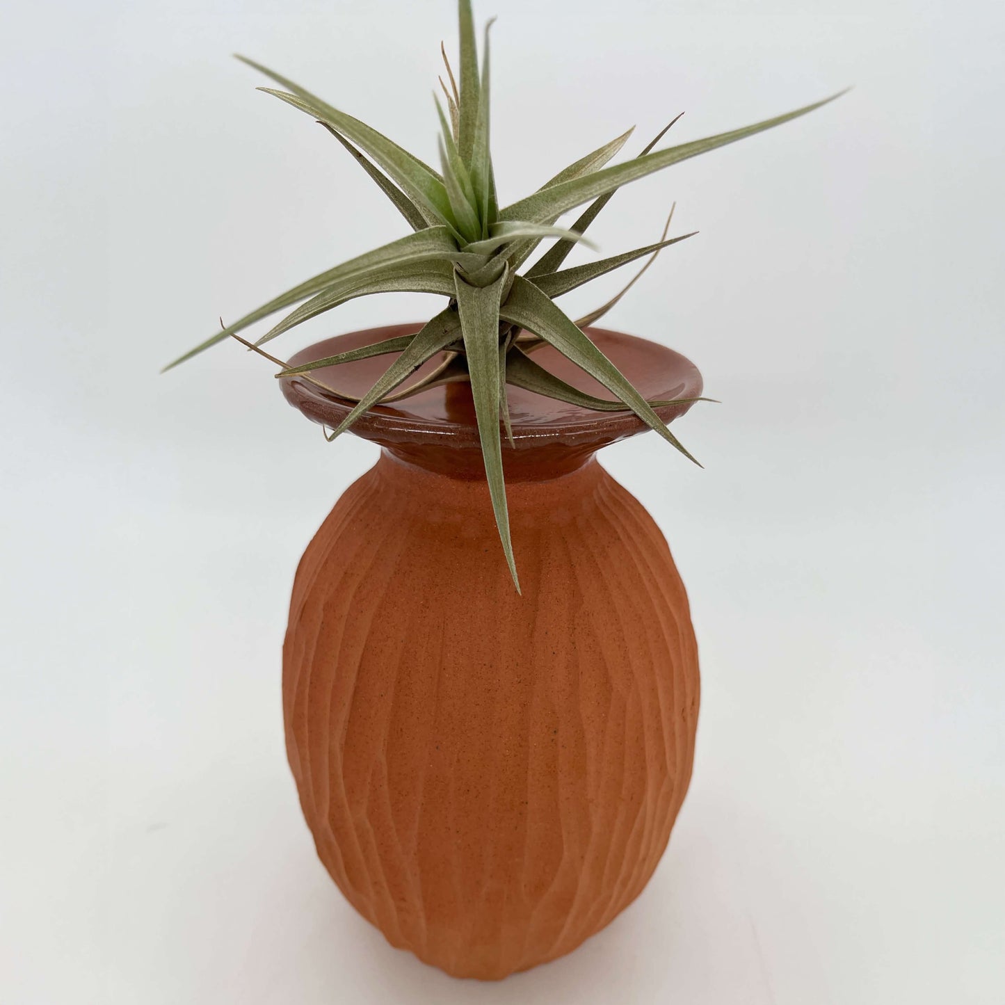 Lulu Candle Holder & Trinket Dish - Drift Texture - Terracotta