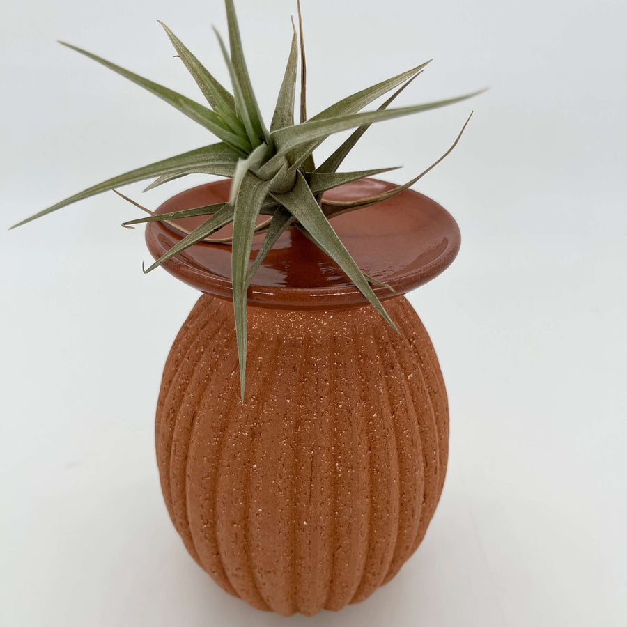 Lulu Candle Holder & Trinket Dish - Fluted Texture - Terracotta