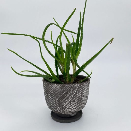 Black ceramic planter with white texture