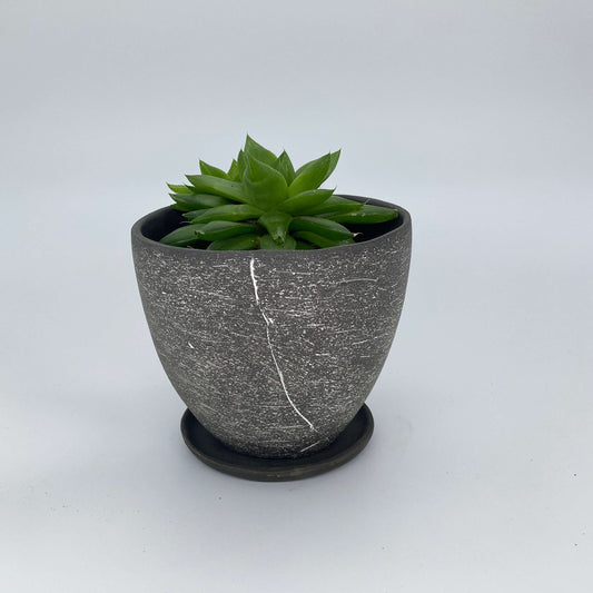 Black ceramic planter with white texture
