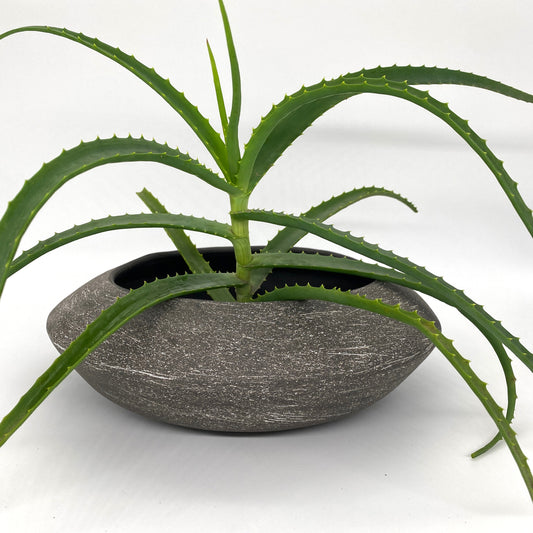 Once Upon a Time Planter 7